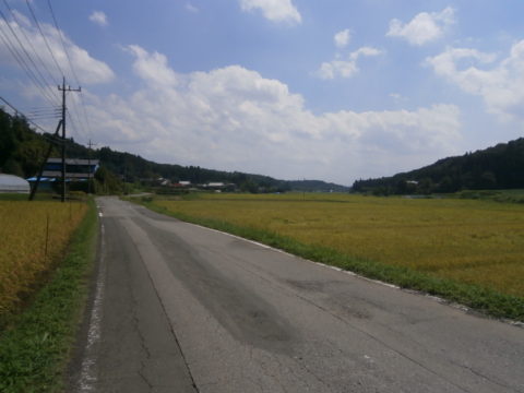 那須烏山市の田園風景