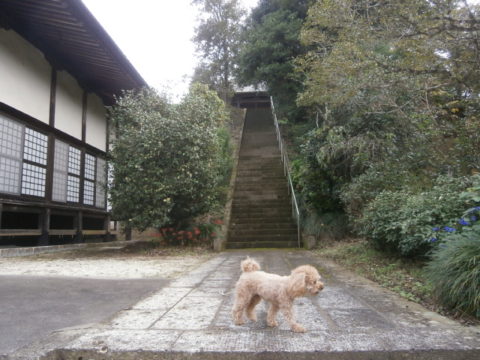 本堂脇の大仏殿の階段