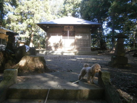 河井八幡神社拝殿