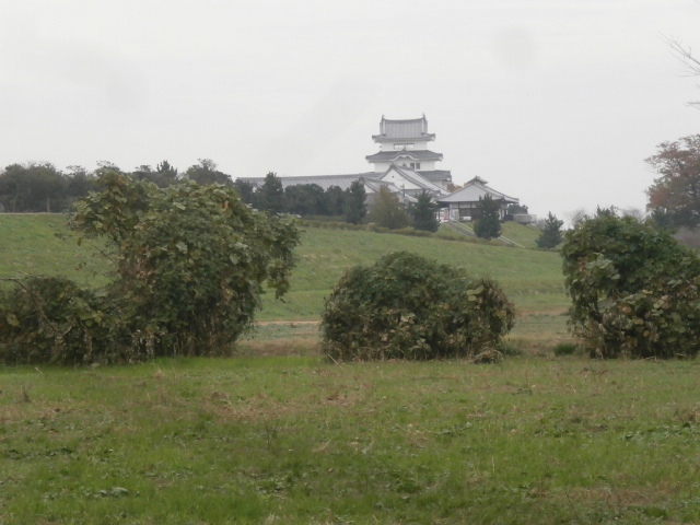 関宿城跡と博物館